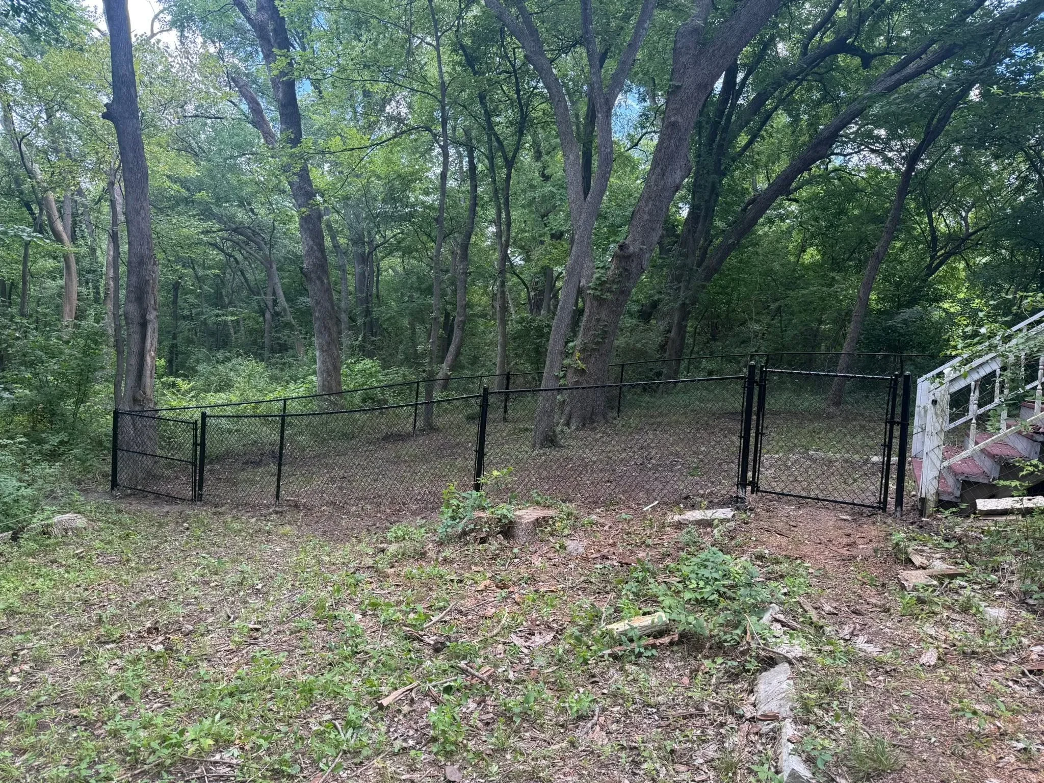 Black chain-link fence with gates installed on wooded lot with mature trees and natural ground cover