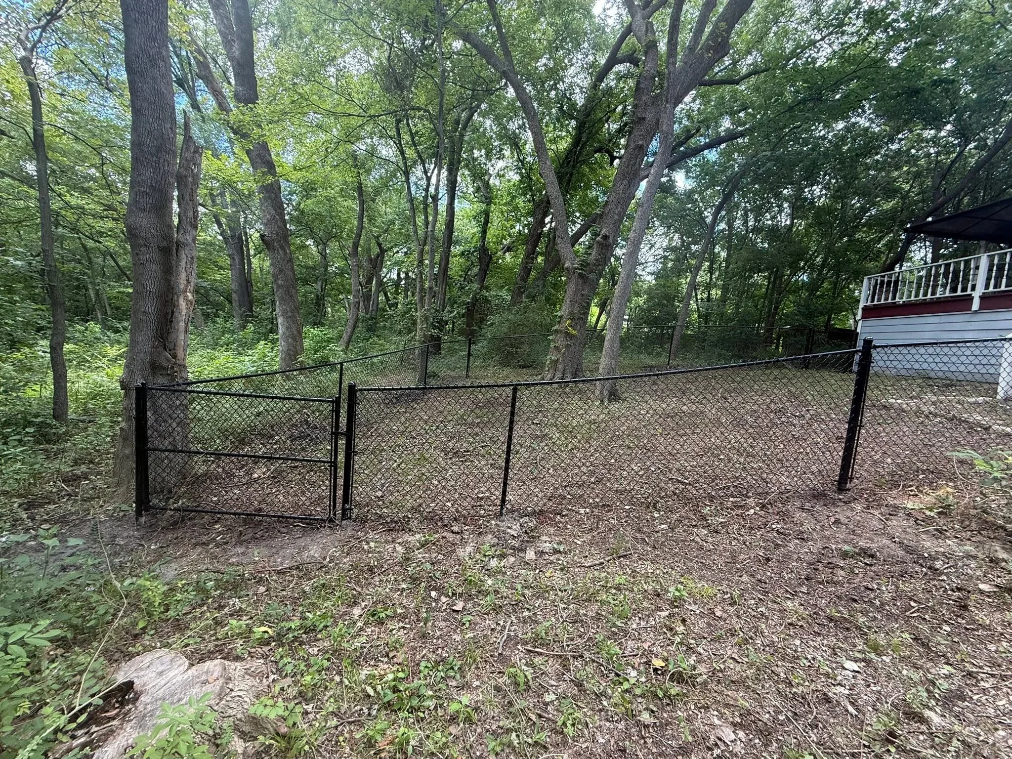 Black chain link fence with steel posts installed on wooded property among mature trees