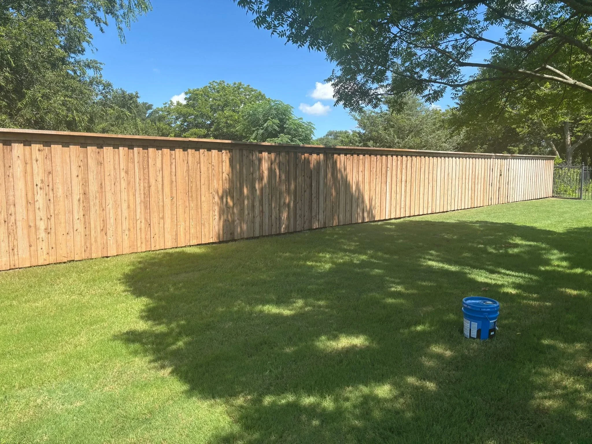 Cedar wood privacy fence with metal top rail installed along residential backyard perimeter