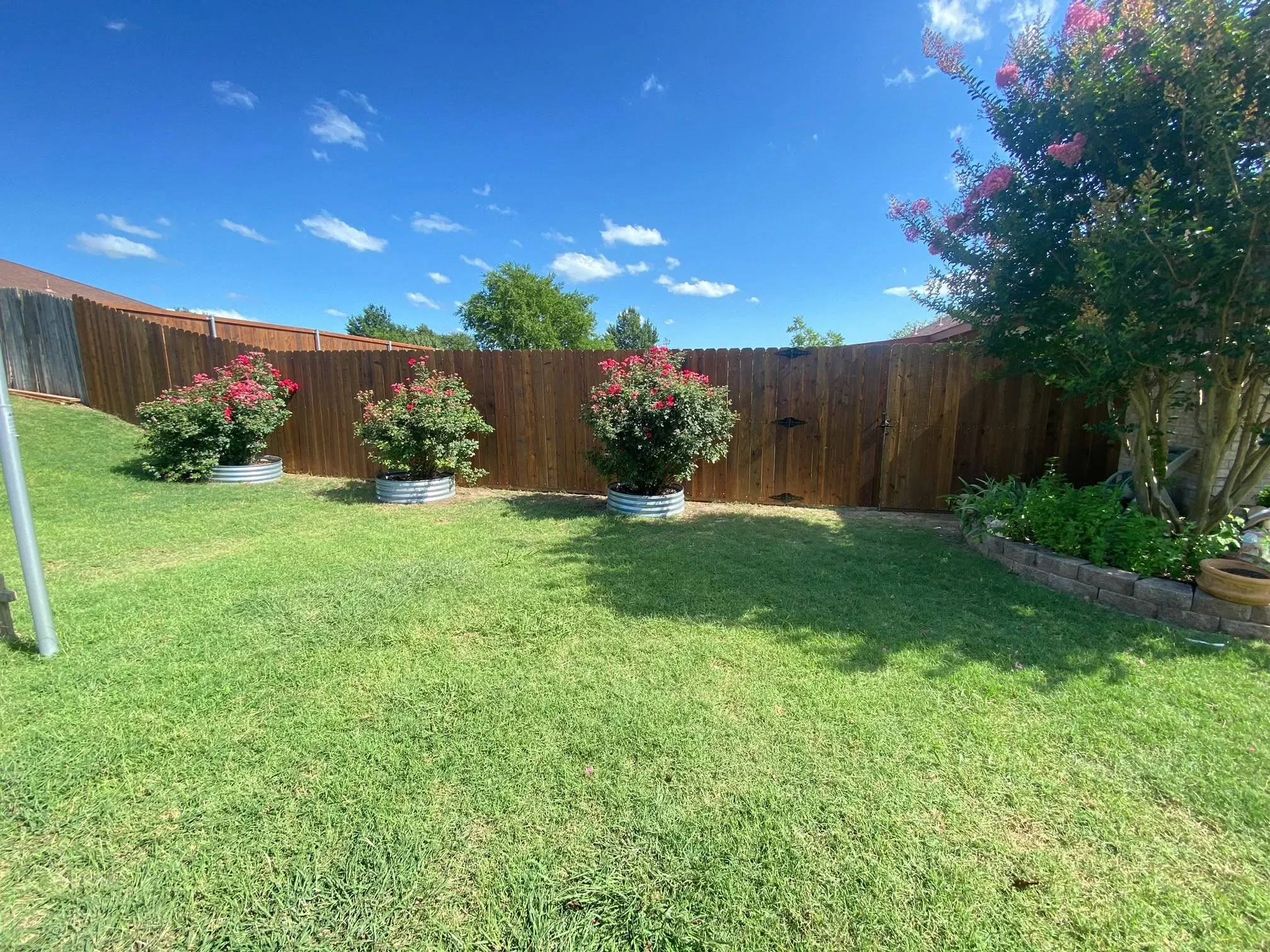 Stained wood privacy fence with flowering shrubs in planters and manicured lawn