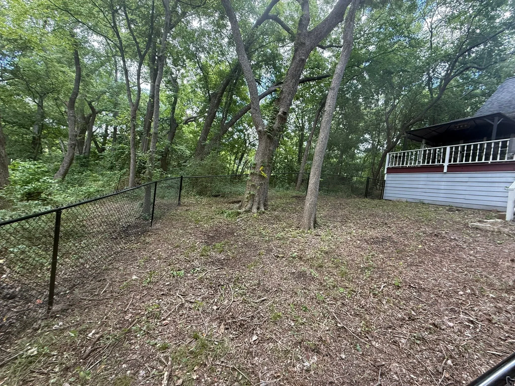 Black metal ranch fencing installed in wooded yard with mature trees and natural ground cover
