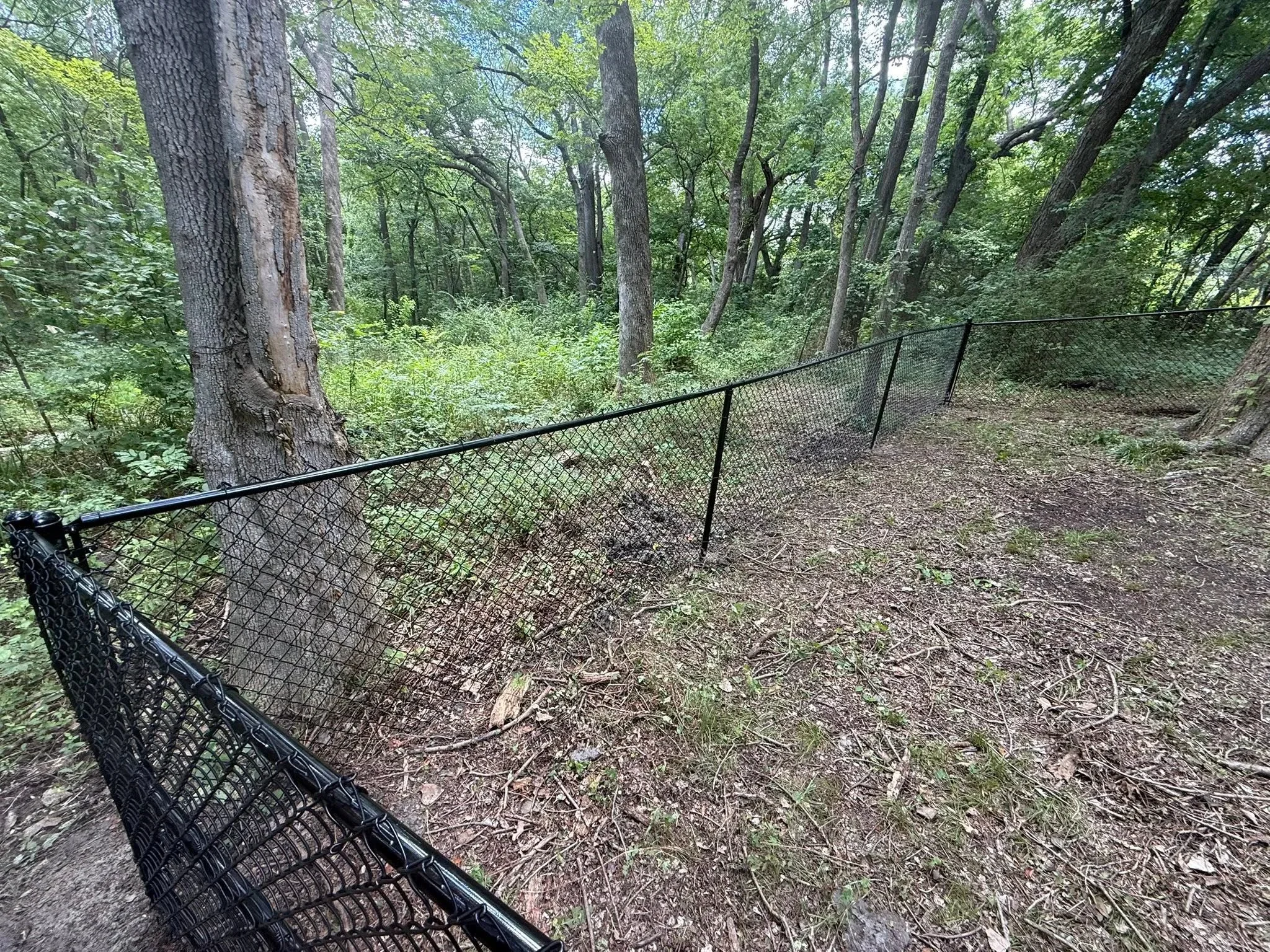 Black chain-link fence with steel posts installed through wooded area with mature trees