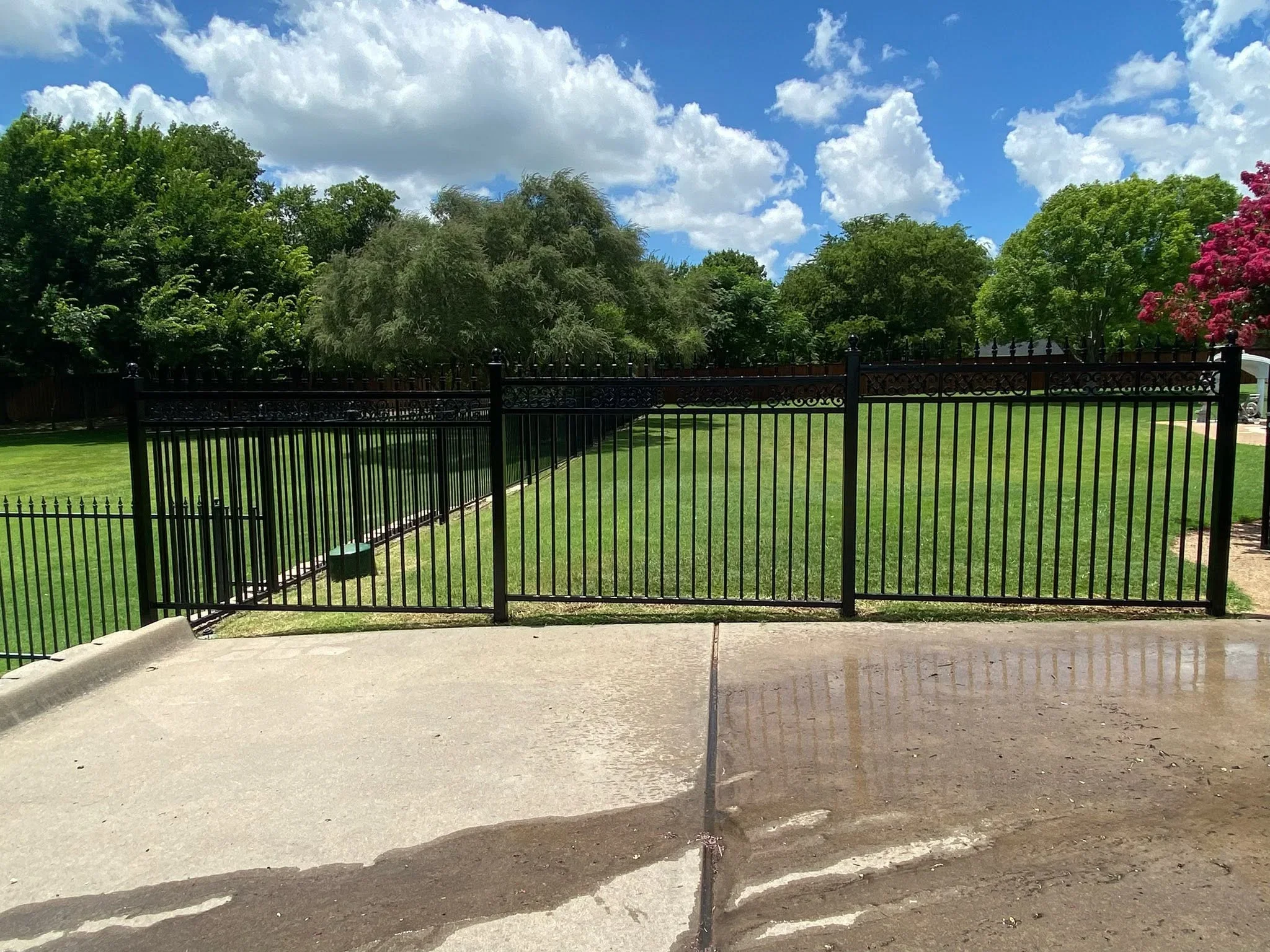 Black ornamental iron driveway gate with decorative scrollwork and vertical pickets installed on concrete driveway