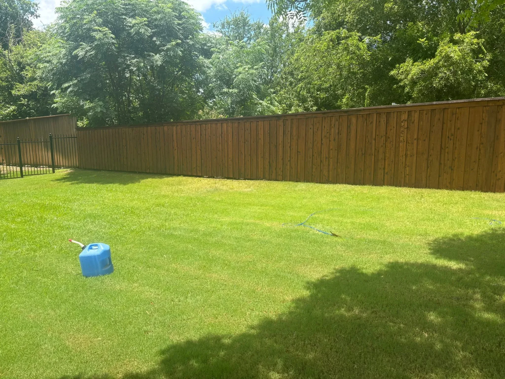 Newly installed wood privacy fence with vertical boards and metal gate in residential backyard