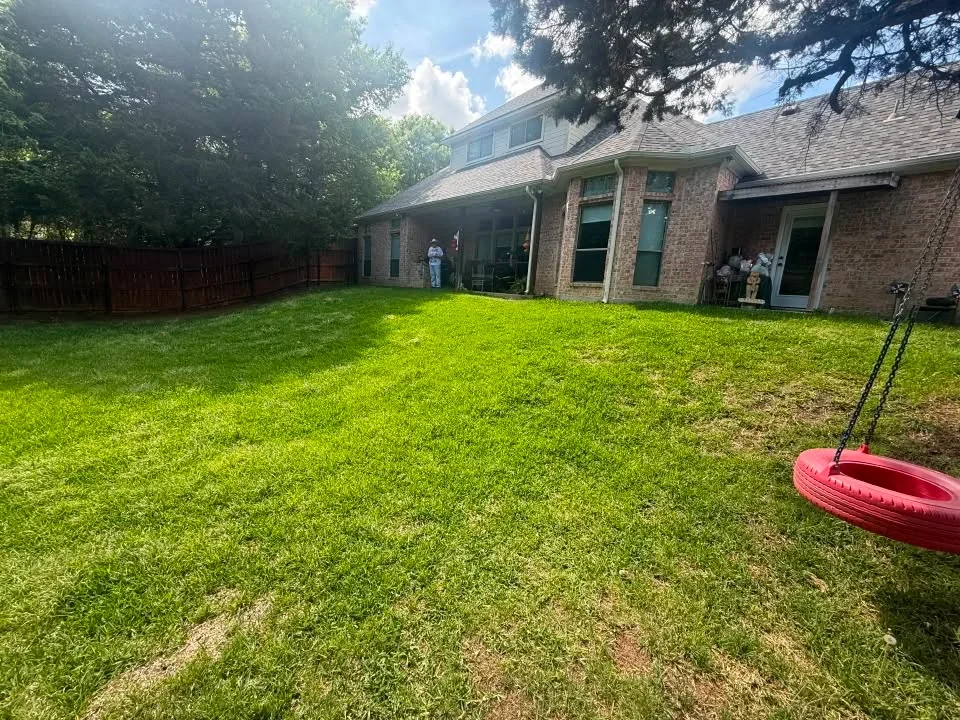 Brick home backyard with newly restored lawn, wooden fence, and mature trees