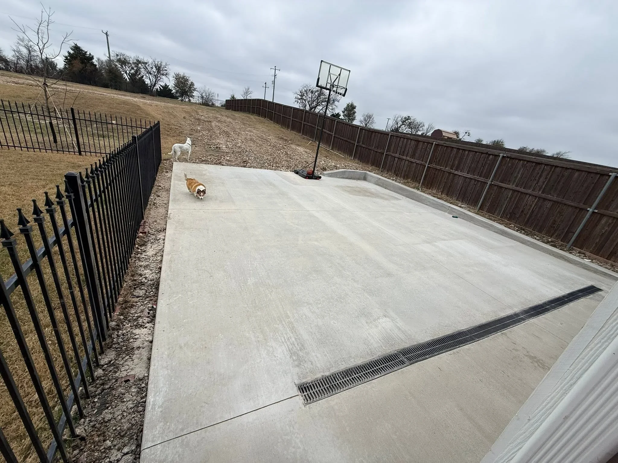 Concrete dog park pad with black metal perimeter fencing and drainage system